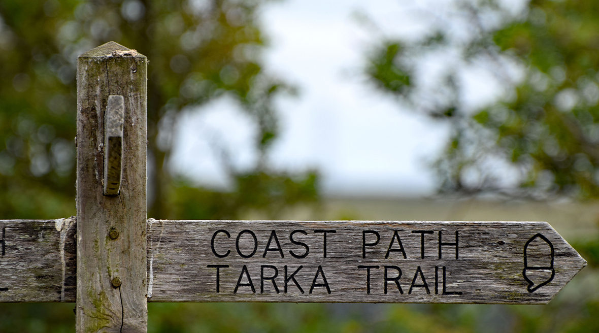 Un panneau en bois en direction du « Tarka Trail » (piste Tarka) et « Coast Path » (sentier de la côte), sur lequel un gland est gravé